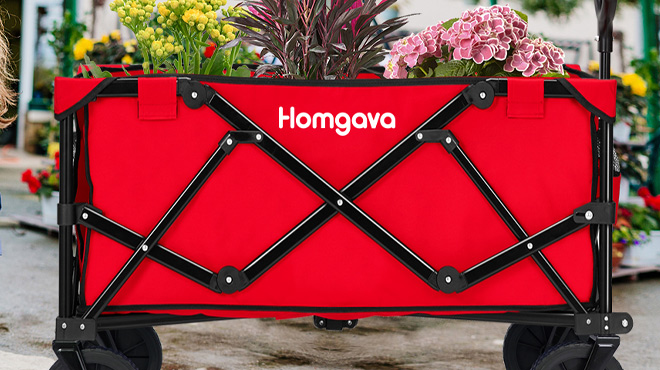 Homgava Collapsible Folding Wagon Cart in Red