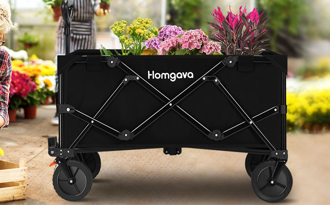 Homgava Collapsible Folding Wagon Cart with Brakes