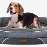 Large Orthopedic Dog Bed 1