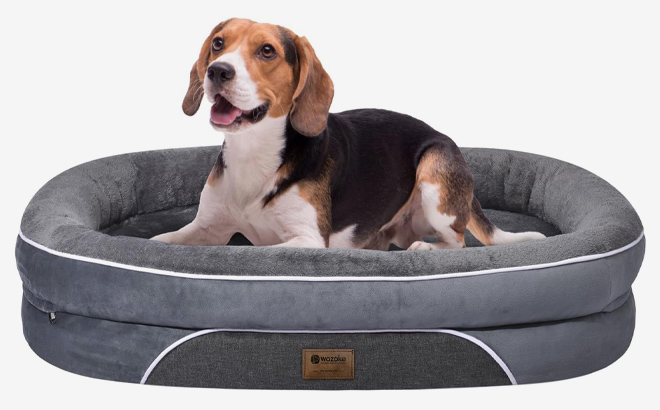 Large Orthopedic Dog Bed 1