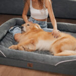 Large Orthopedic Dog Bed