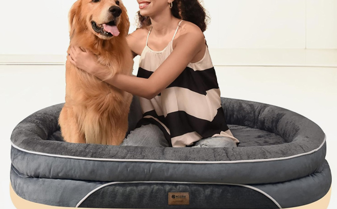 Large Orthopedic Dog Bed 2