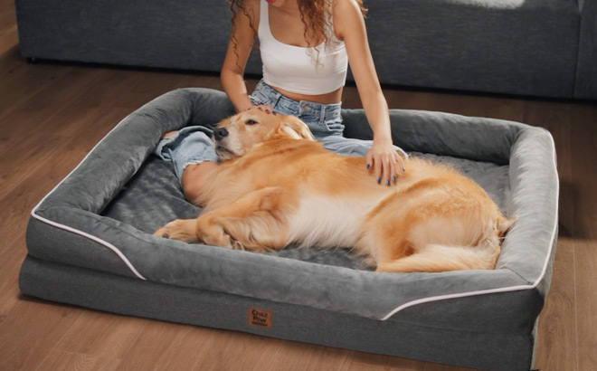 Large Orthopedic Dog Bed