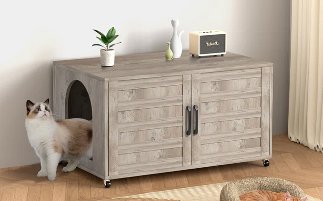 Litter Box Enclosure Furniture Hidden With Barn Door