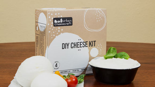 Mozzarella Making Kit