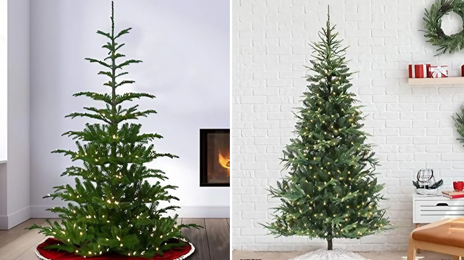 National Tree Company 7 5 ft Pre lit Christmas Tree on the left and Philips 7 5 Pre Lit Christmas Tree on the right