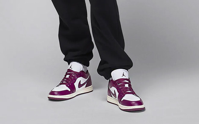 Nike Air Jordan 1 Low Womens Shoes