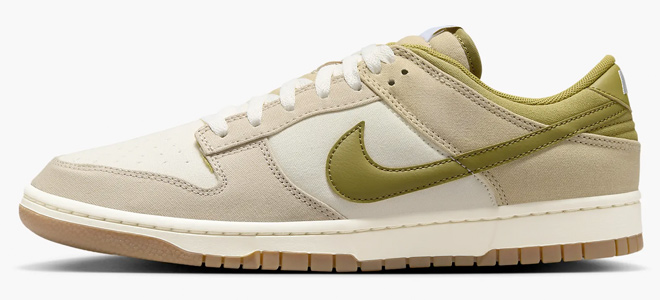 Nike Dunk Low Mens Shoe