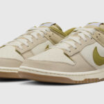 Nike Dunk Low Mens Shoes