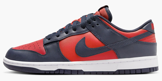 Nike Dunk Low Retro Mens Shoe