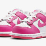 Nike Dunk Low Toddler Shoes