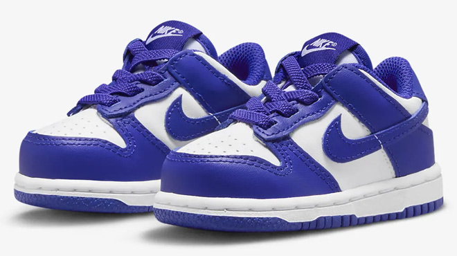 Nike Dunk Low Toddler Shoes Glacier Concord