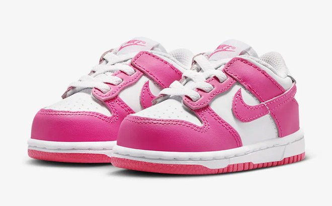 Nike Dunk Low Toddler Shoes