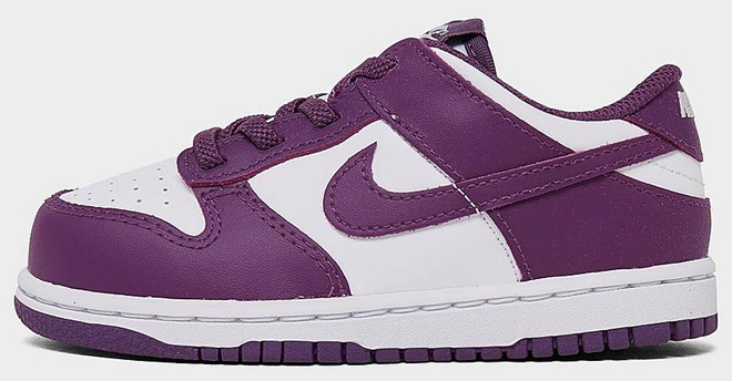 Nike Toddler Dunk Low Casual Shoe