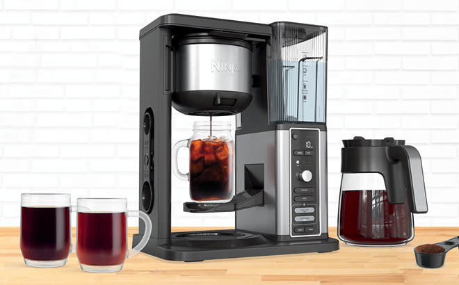 Ninja Hot Iced XL Coffee Maker with Rapid Cold Brew