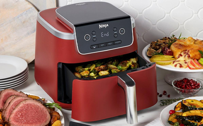 Ninja Pro 4 in 1 5 Quart Air Fryer