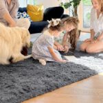 OLANLY Area Rugs for Living Room Bedroom Machine Washable