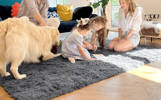 OLANLY Area Rugs for Living Room Bedroom Machine Washable