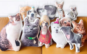 One Custom 3D Pet Pillows on a sofa