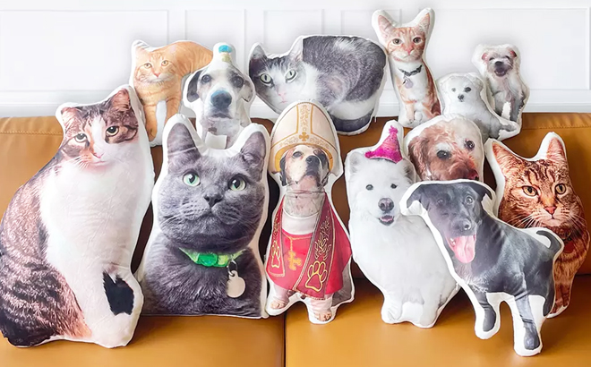 One Custom 3D Pet Pillows on a sofa