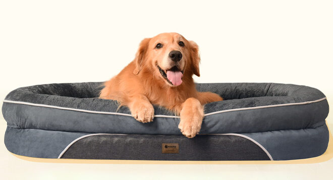 Orthopedic Waterproof Large Dog Bed