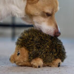 Outward Hound Hedgehogz Plush Dog Toy