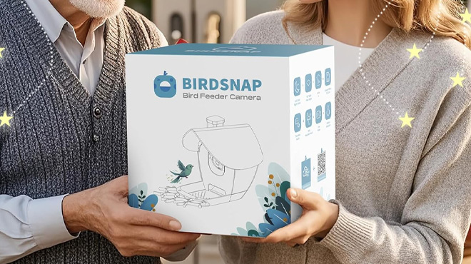 People Holding Smart Bird Feeder with Camera in a Box