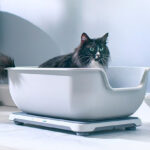 Petivity Smart Litterbox Health Monitoring System