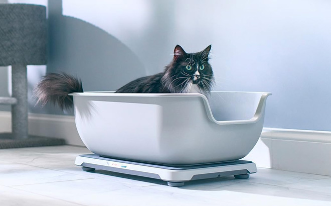 Petivity Smart Litterbox Health Monitoring System