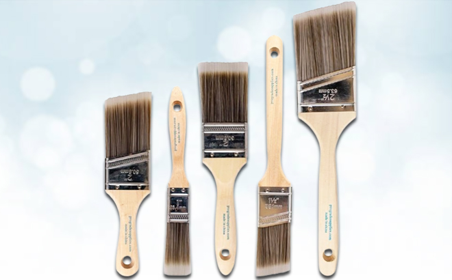 Pro Grade 5 Piece Paint Brushes