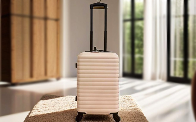 Protege 20 Inch Luggage in Pink