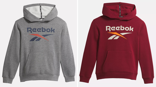 Reebok Big Hoodie in Two Colors