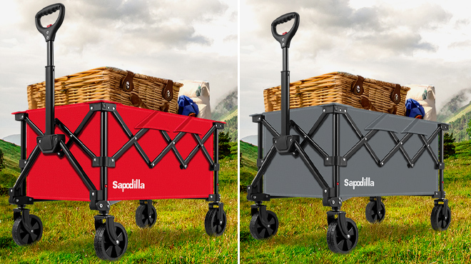 Sapodilla Collapsible Foldable Wagon 2