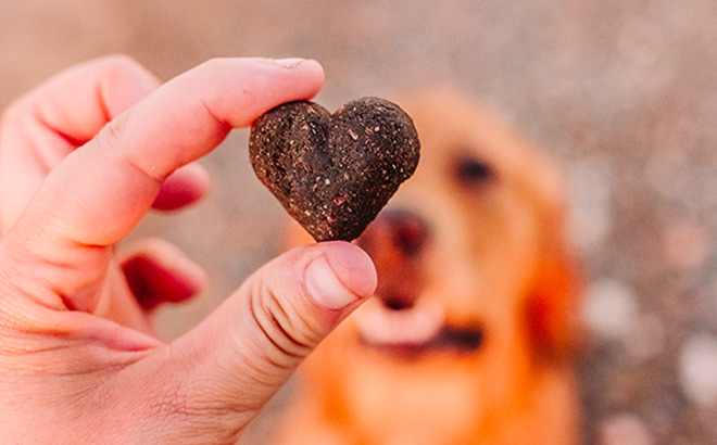 Shameless Pets Dog Treat