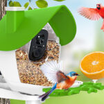 Smart Bird Feeder with Camera