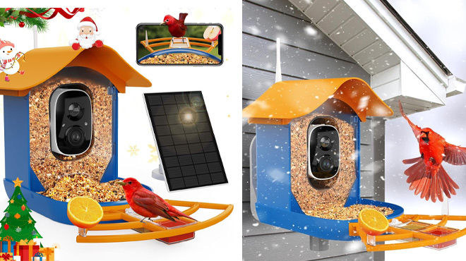 Smart Bird Feeder with CameraSolar Panel