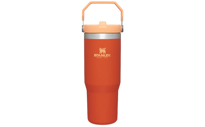 Stanley The IceFlow Flip Straw Tumbler