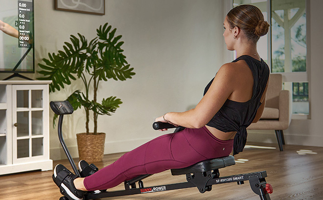 Sunny Health Fitness Rowing Exercise Machine