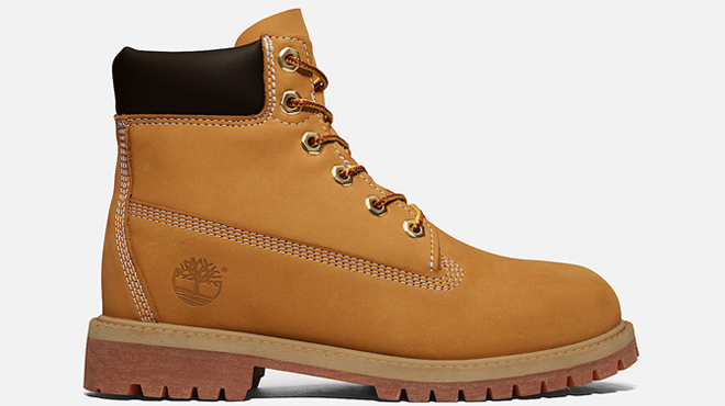 Timberland Kids 6 Inch Premium Waterproof Boots