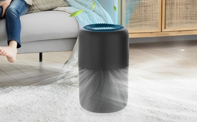 True HEPA Air Purifier