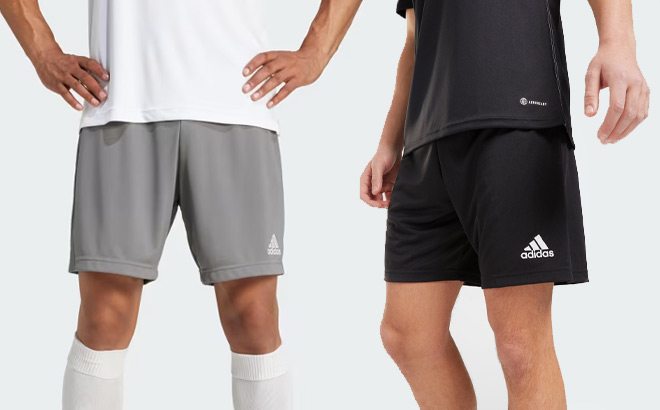 Two Men Wearing Adidas Shorts