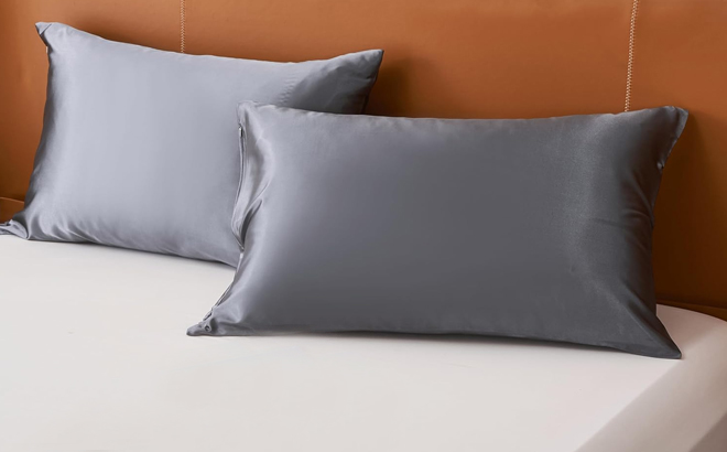 Two Pillows with Netcken Satin Pillowcases in Dark Grey Color