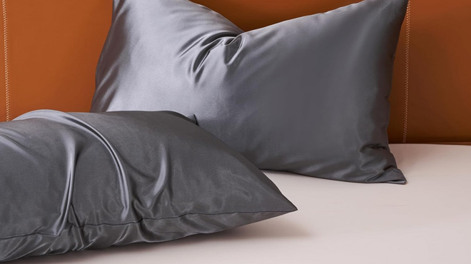 Two Pillows with Netcken Satin Pillowcases in Dark Grey