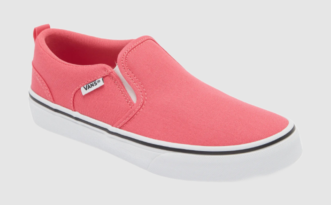 VANS Kids Asher Slip On Shoes