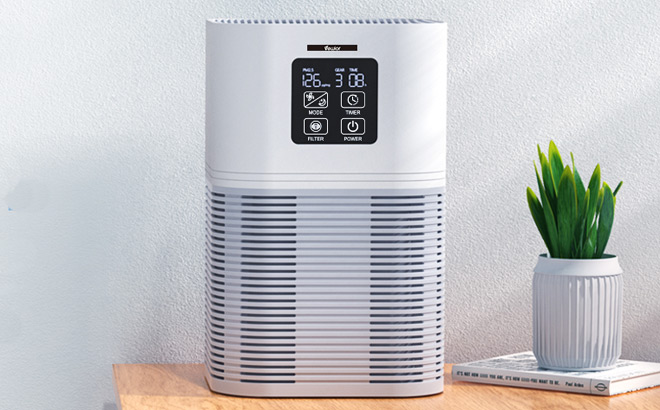 Vewior Air Purifier