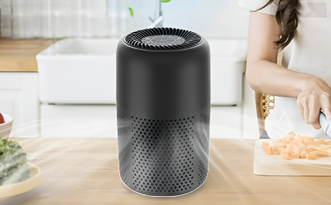 Vhoiu True HEPA Air Purifier