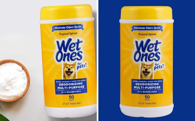 Wet Ones Pet Wipes