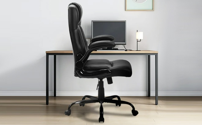 Wide Seat Ergonomic Computer Desk Chair