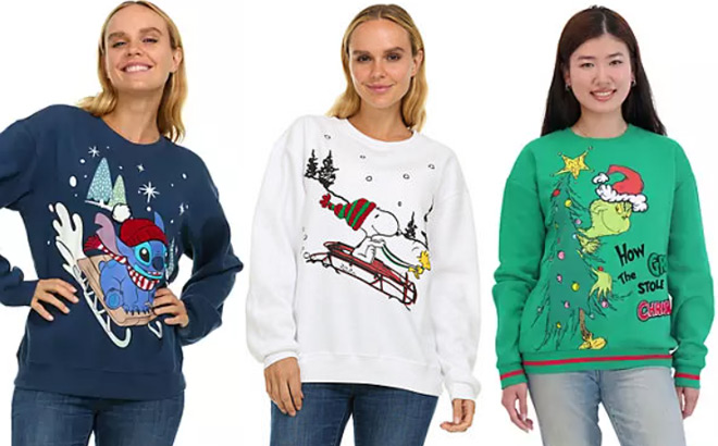 Womens Character Winter Sweatshirts