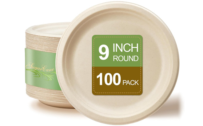 Yeehigh Compostable 9 Inch Dessert Plates 100 Pack